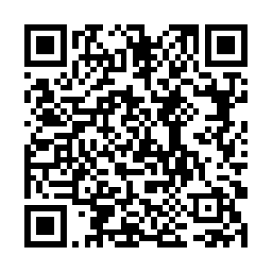 而主要领导和分管领导也始终是那种不能不热的态度二维码生成