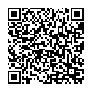 而之前已经光明正大的投效了定王府的白家自然被西陵皇毫不犹豫的放弃了二维码生成