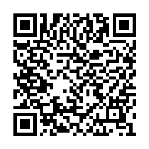 而五行战皇则一次次施展出威力强横的防御剑技二维码生成