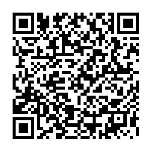 而今也就只剩下了绿蕉跟另一个叫蓝玉的专门负责看管箱笼衣服首饰等等二维码生成