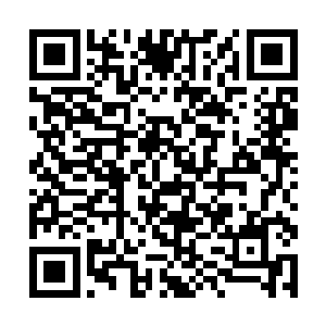 而从进屋一直冷眼旁观连话都没插嘴的苏美丽行动了二维码生成