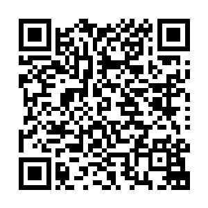 而他们几乎已经找遍了全世界可能出现在苏凡的地方都没有找到二维码生成
