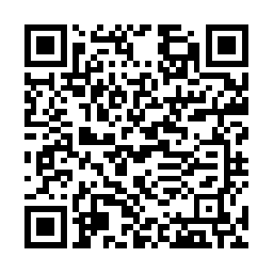 而他们所谓的什么彼岸花蛊毒起作用还要再晚一个小时二维码生成