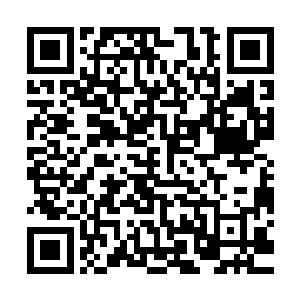 而他每增长一个恶鬼收入这万鬼幡中这小旗的实力就会大大上涨二维码生成