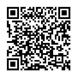 而他的三位同伴也同样是用不善的目光看向秦宇二维码生成