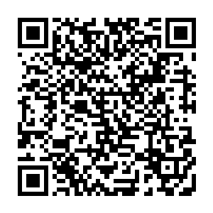 而他自以为占了大份的抢了八千九百斤的玉米种子此时也显得不是那么多了二维码生成