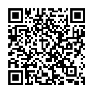 而他身后的一位不管是体型和身高都跟拳王泰森有得一拼的家伙二维码生成
