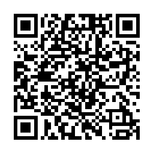 而你们的表演状态在互相刺激中又攀升到了新高峰二维码生成