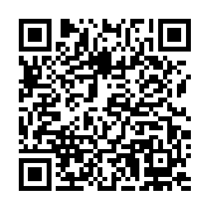 而你却已经越界做出的事情根本不是我母亲能让你做出的二维码生成