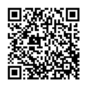 而凌蘭必须一次将编有不同数字碎片按照标注精准卡入其中二维码生成