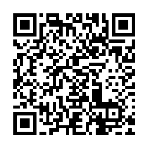 而几乎没有人留意到那些逃归的十座星巢里近半都是黑属星巢二维码生成