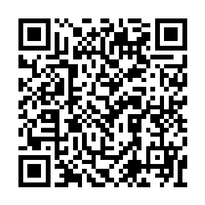 而刚才放置狗粮的地方却出现了一件其他的物品二维码生成