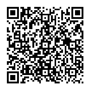 而十二教徒之所以会答应金界公爵那是因为金界公爵给十二教徒找到了重生七星天兽的方法二维码生成