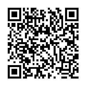 而千景门的长老在他的眼中也仿佛是跳梁小丑一样二维码生成