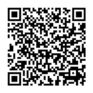 而南诏王在威望并不太高的情况下很有可能以后继无人为由被罢黜王位二维码生成