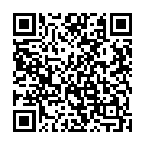 而占得上风的张辽以及白狮军这下更是越战越是亢奋激动二维码生成