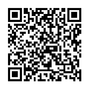 而原本枯萎的种子也在这力量的冲刷之下有着复苏的迹象二维码生成