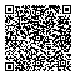 而另外一遍大长老几个人心中则是猛地一沉一股不好的预感也是从几个人的心底冒了出来一个个的脸sè也是变得无比的yin沉二维码生成
