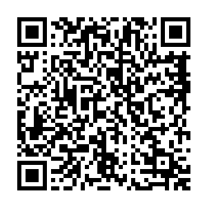 而只要是在李谦心里认为极好的故事以他过去这些年的眼力和水准来说二维码生成