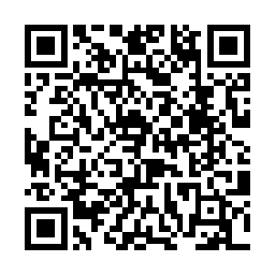 而叶秋的眼神分明就是抛弃生死也要将对方置之死地二维码生成