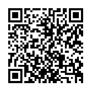 而同一个故事为什么在不同编剧的笔下又会呈现出不同的模样二维码生成