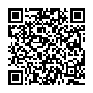 而后也没有管陌路离殇那不知是感慨还是惊叹的反应二维码生成