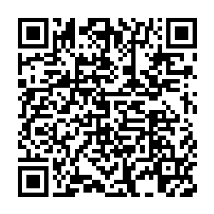 而后从储物符内取出一枚散发着诱人香味的丹药给叶然吞服了下去二维码生成