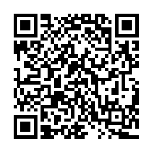 而后他又从颈间的亚空间中取出流墨墨曾见过一次的小球二维码生成