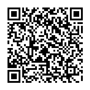 而后便修炼基础剑术惊风剑术以及领悟意境和剑势以及剑气护体秘法第三层等等二维码生成