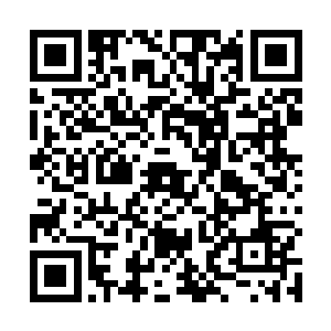 而后很是妒忌地瞪了眼赖在慕容玥怀抱中磨蹭着的灵宝二维码生成