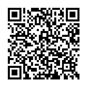 而后者无疑是迄今为止雨果职业生涯的最高表现二维码生成