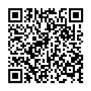 而唯一让小叔失去了冷静模样的……在他的记忆中二维码生成