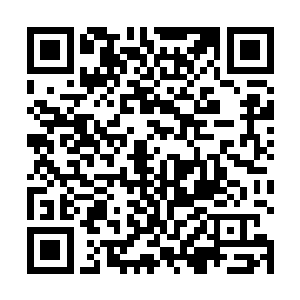 而因为边界处这家林场和果邦林业部门有密切合作关系二维码生成