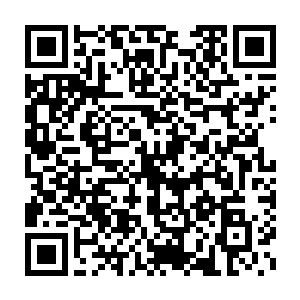 而囡囡和嘤嘤这对双胞胎的加入让罗楼的治疗小队终于不再是一个名头二维码生成