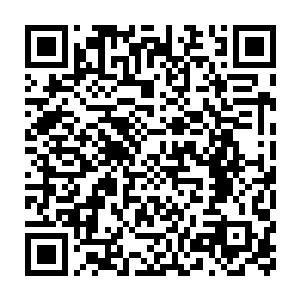 而土狗和捣蛋鬼这边更是恐怖现在整个身体怕差不多要有近百米的样子二维码生成