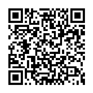 而在一边的苏凡等人此刻也是围在这里看着娑娜二维码生成