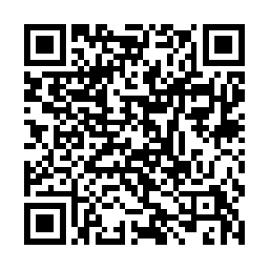 而在一边的雪儿此刻似乎也注意到了大厅之中的动静二维码生成