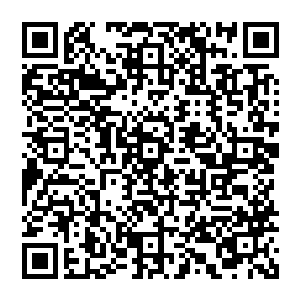 而在世界树树心上的血姬冷还不知道她帮黑仔蜕变的动静已经让远处众族沸腾然后又冷却下来二维码生成