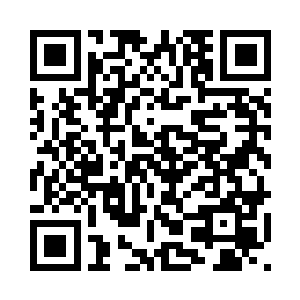 而在他们开启智慧和文明的过程中二维码生成