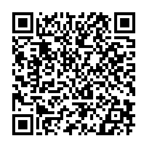 而在众人的口哨与尖叫声中希瑟洛克利尔迈着优雅的步子从左侧走了出来二维码生成