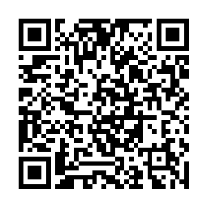 而在她们身旁的秋松仙人正拿着几颗珍珠在手里把玩二维码生成