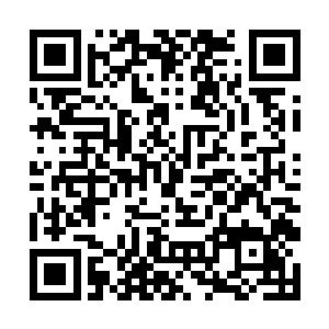 而在小蝶的眉心出现了一颗黑色的美人痣一般的印记二维码生成