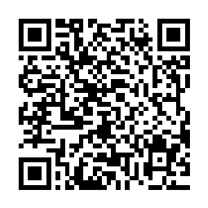 而在惩罚之前这个人手臂上就会出现一条和你手臂上一样的红线二维码生成
