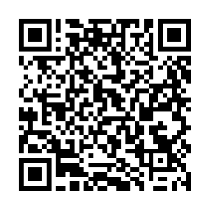 而在暗夜议会混得不少骨干也是过去永夜军团的主力二维码生成