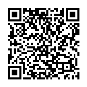 而在海底得代离此刻正极为从容得骑着寒冰鲨在海底穿行二维码生成