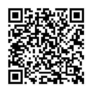 而大儒强大的力量让方运把每一个细节进行推演二维码生成