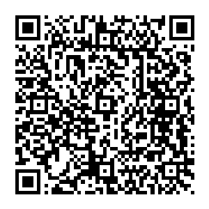 而天幸看了一眼被十三香指点着两根懵懵懂懂的藤蔓把那逃跑了又被捉回来的两个侍从仔仔细细捆成了粽子二维码生成