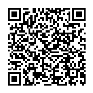 而她的任务就是蹲在附近人家的大树根儿底下等待夏冬倒来倒去糖果瓜子二维码生成