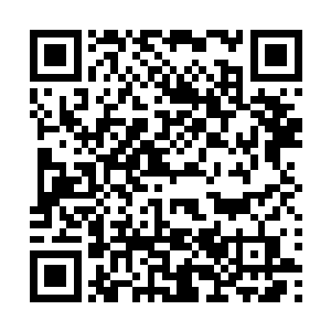 而如今医生却一脸抱歉的对自己说无法确定奥利维亚的病因二维码生成