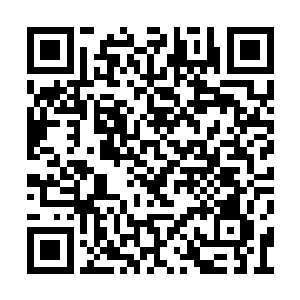 而如今的万法峰峰主已经变成了古皇古皇一上任二维码生成